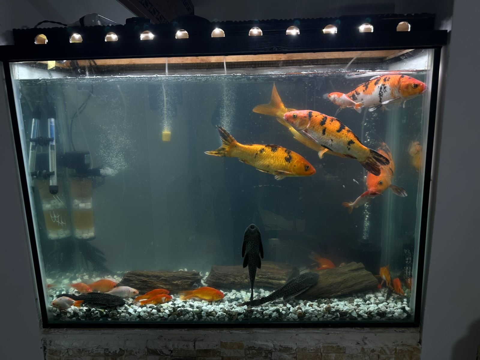 كايرو سبيس — صورة 5