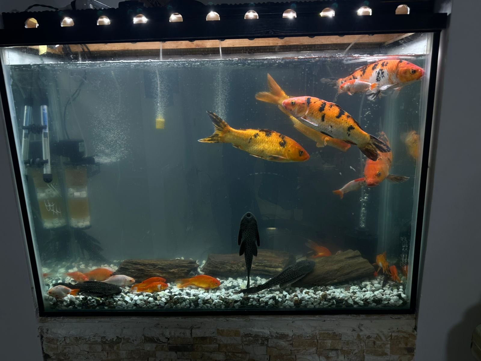 كايرو سبيس — صورة 10